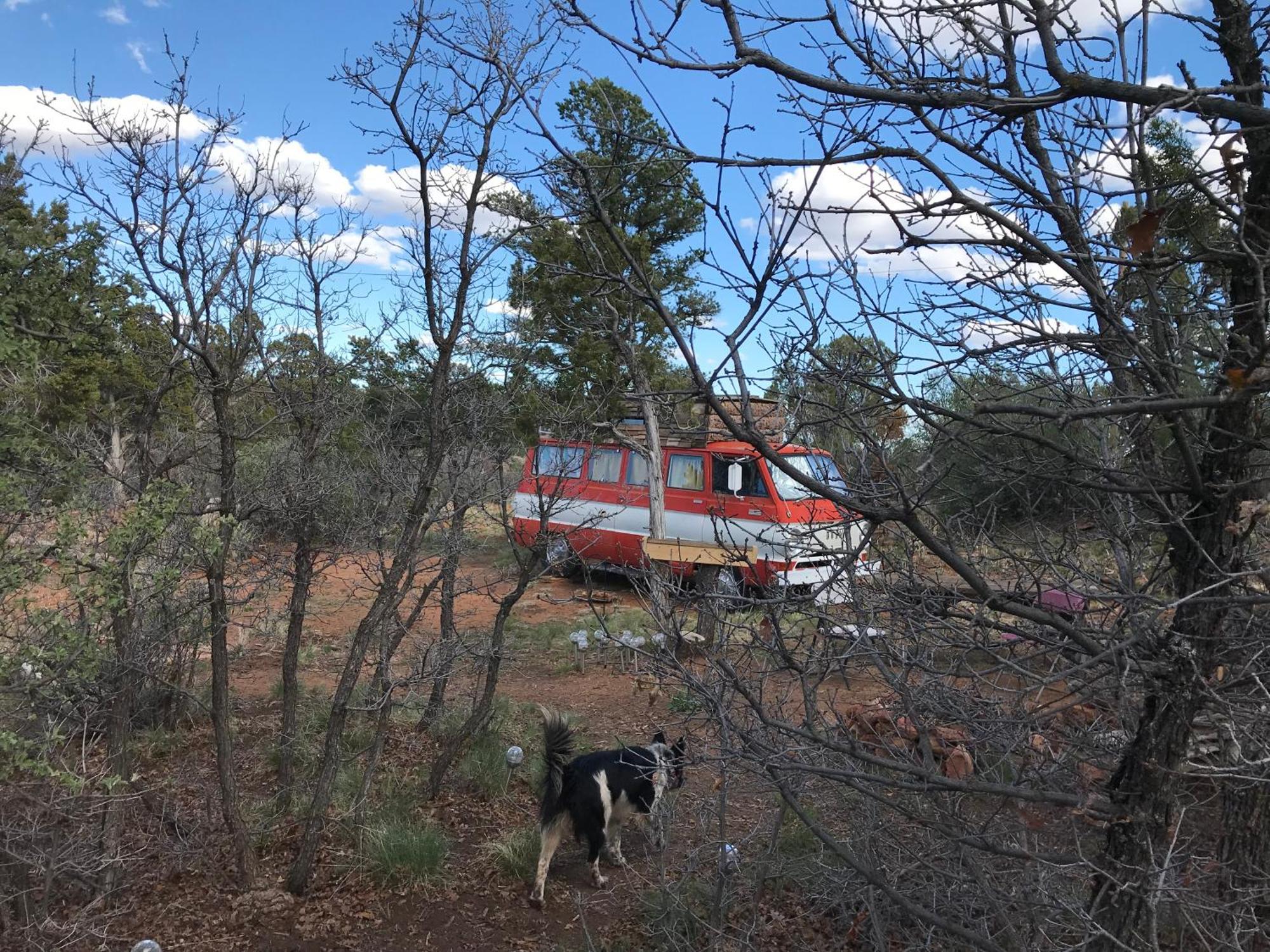 Verdure Indian Canyon Ranch מראה חיצוני תמונה