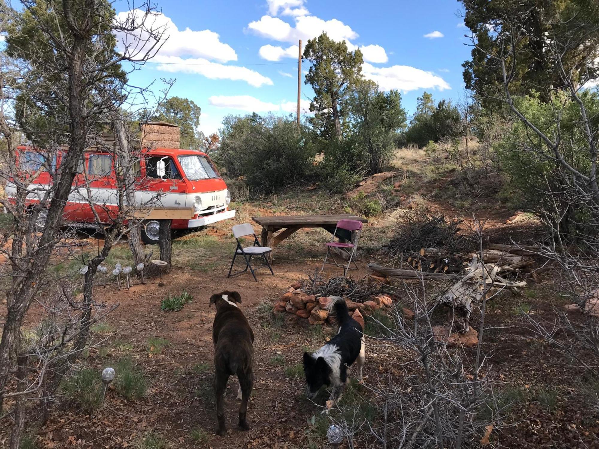 Verdure Indian Canyon Ranch מראה חיצוני תמונה
